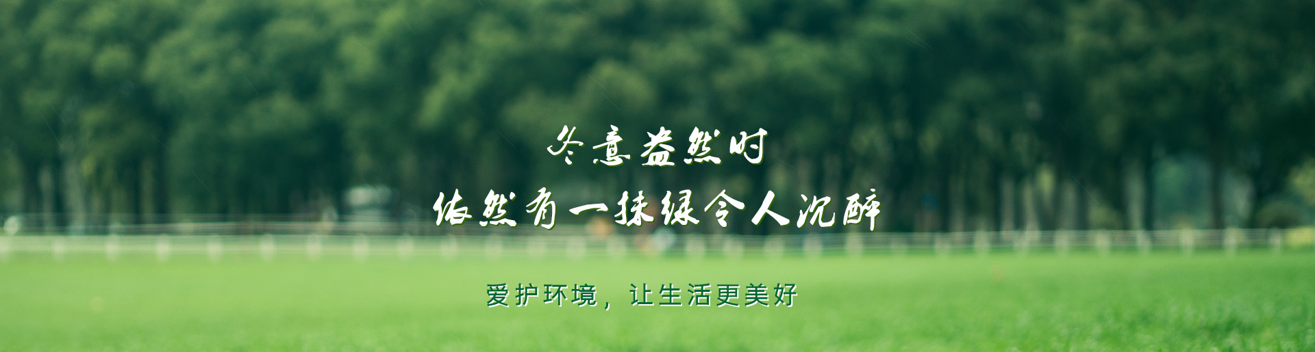 首页banner