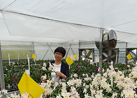 郑芝波