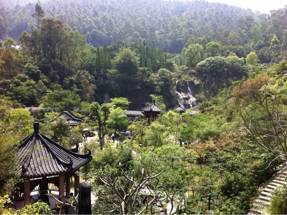 关于组建东莞市园林绿化行业专家 （科技人才）库的工作方案