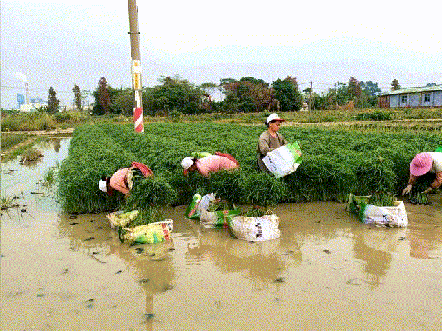 微信图片_20200115180914.gif