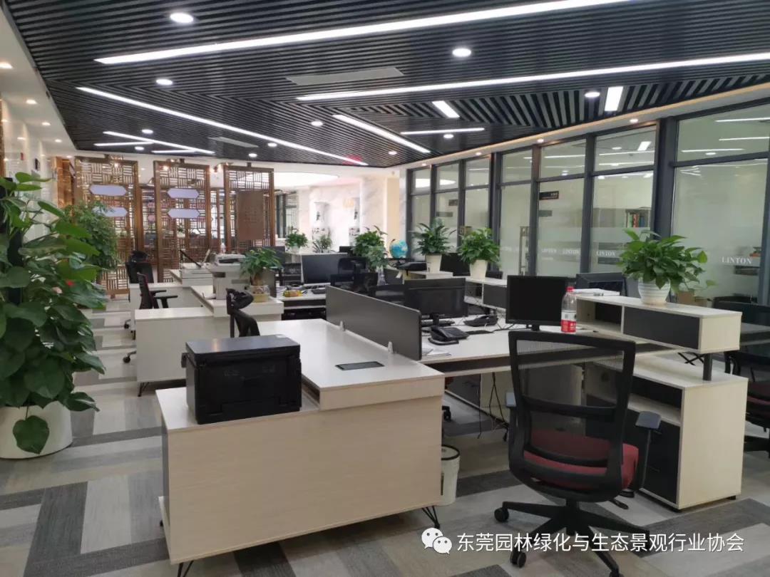 【会员招聘】花点木兰公司招聘启事！