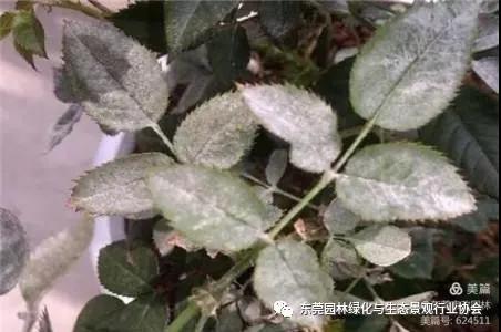 微信图片_20210331094904.jpg