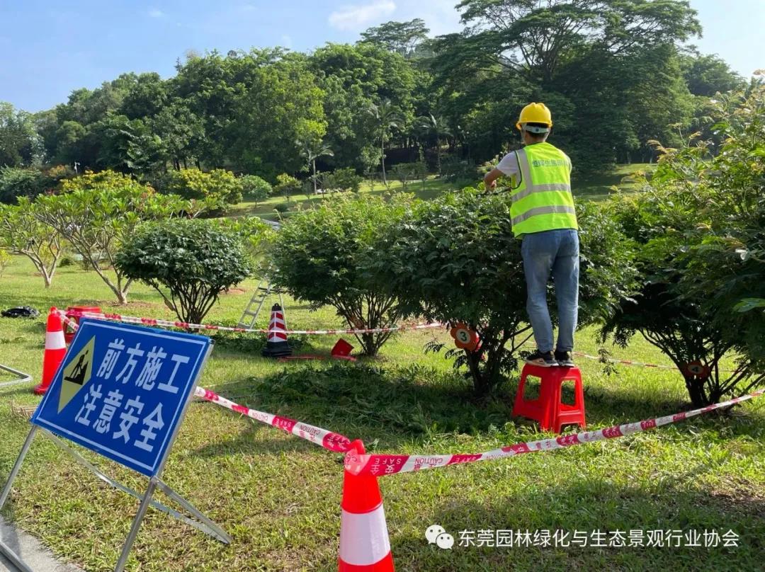 “园林绣匠争头筹，莞邑绿茵秀技艺”——热烈祝贺“绣匠杯”园林绿化行业劳动技能大赛成功举行