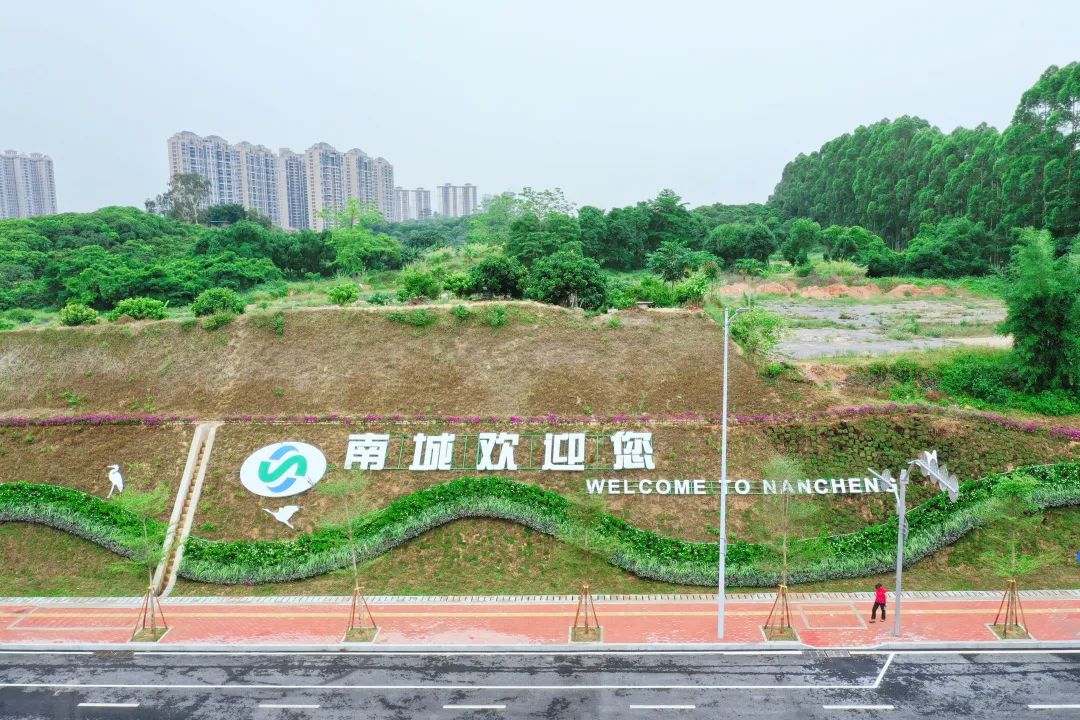 【常务副理事长单位风采】百林精品丨东莞南城街道桃源北路正式通车！