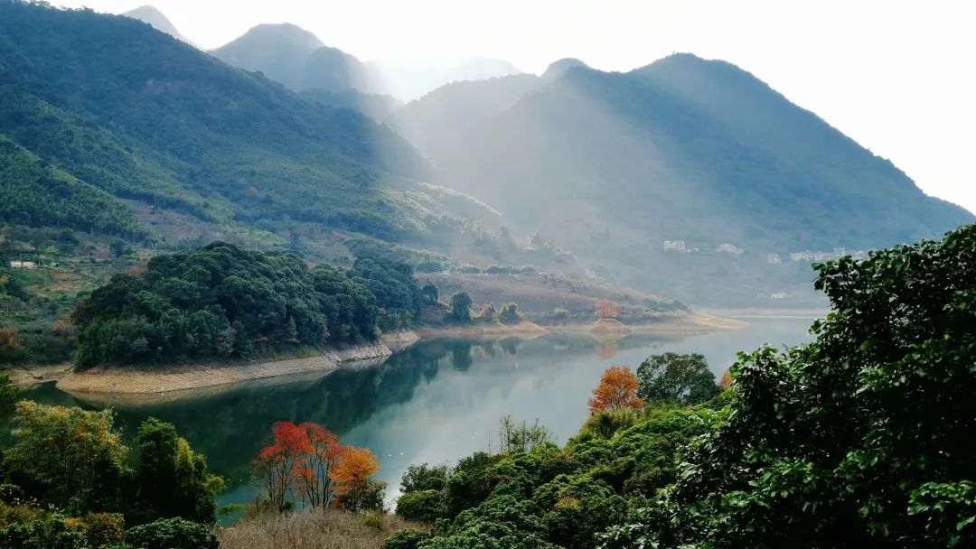 迎来新进展！广东各地积极布局绿美广东生态建设