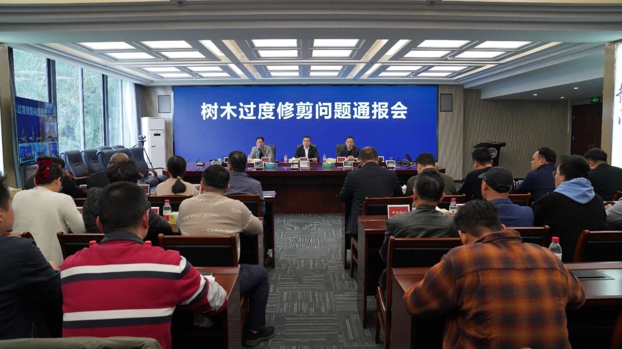 【转发】市城管局召开树木擅自修剪、过度修剪问题通报会