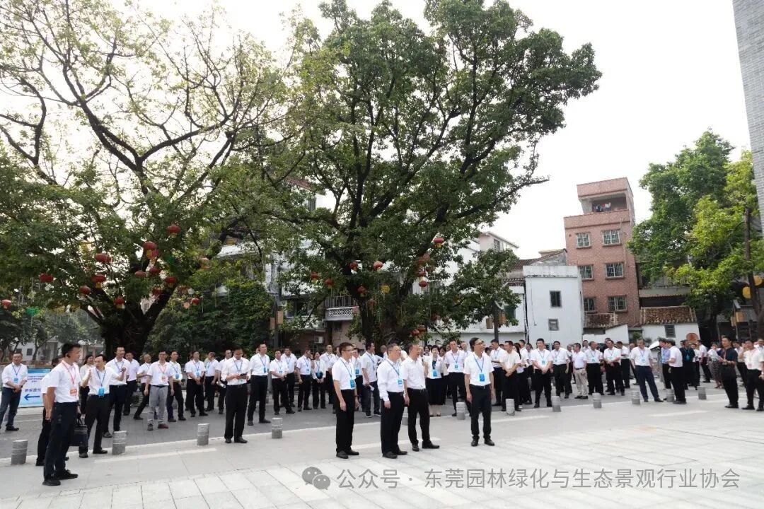 【常务副理事长风采】筑奥生态项目——东莞百千万工程巡礼之道滘兴隆街
