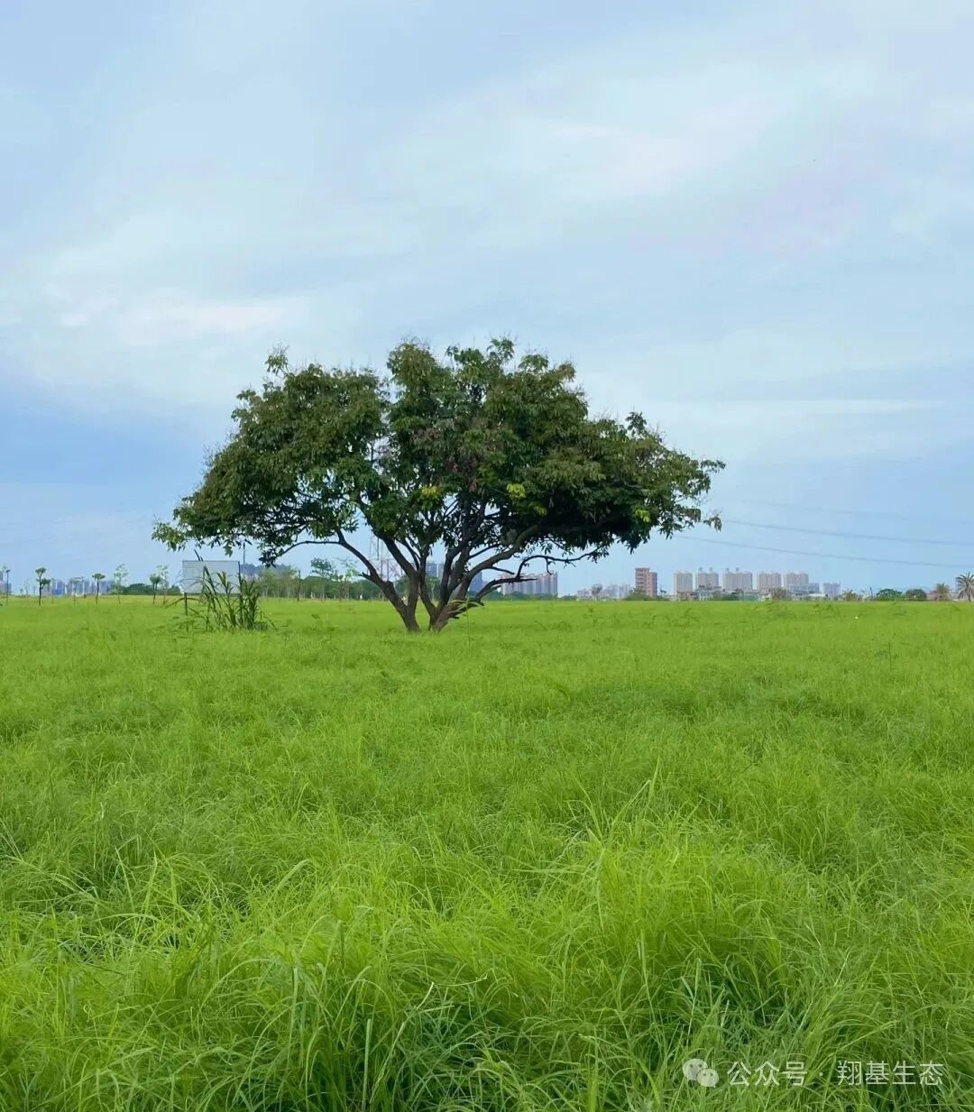 【会员风采】一川江水绕青坪，半日闲云游石排--川龙埔北生态公园